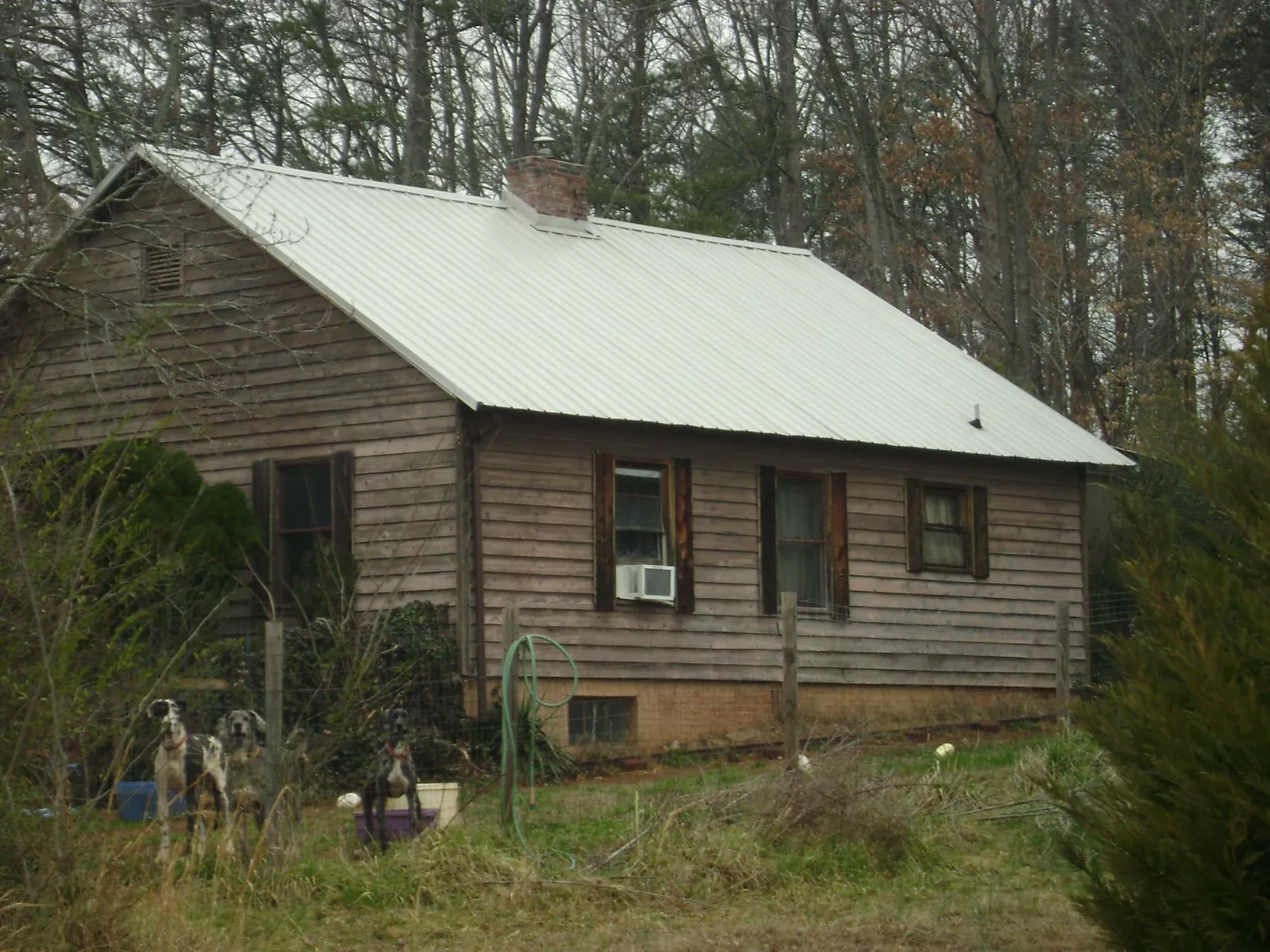 White metal roof on an old wood sided farmhouse, from a Asphalt Shingle Roof Repair job in Kelso